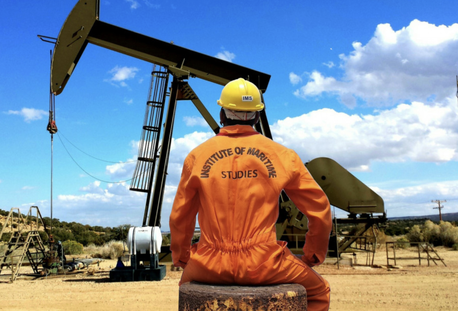 5) Sécurité des données et intégration au système d’information