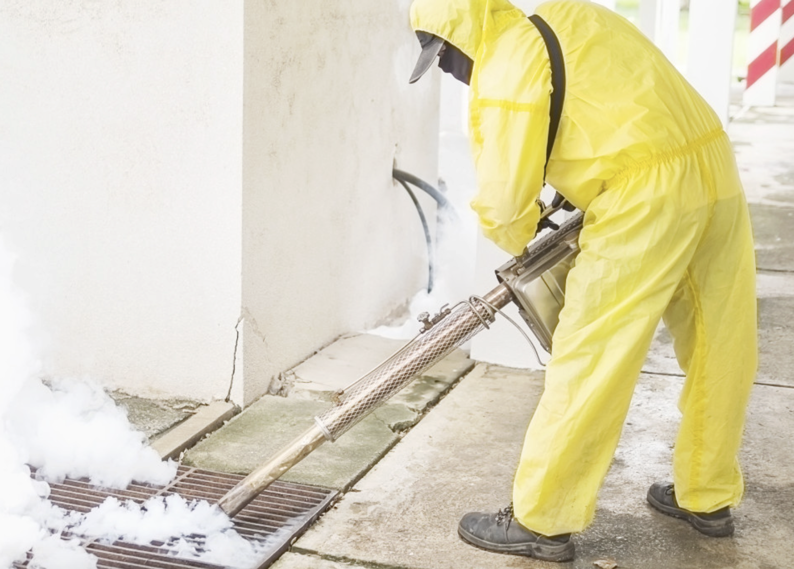 3) Gestion multi-sites et structuration des données