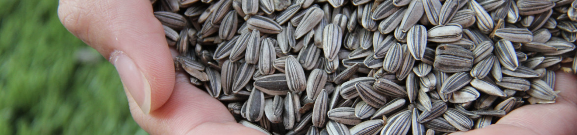 Saipol : digitalisation des Plan de prévention - permis